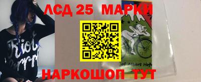 спиды Камышлов