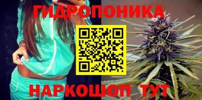 спиды Камышлов
