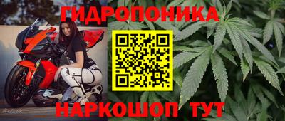 спиды Камышлов