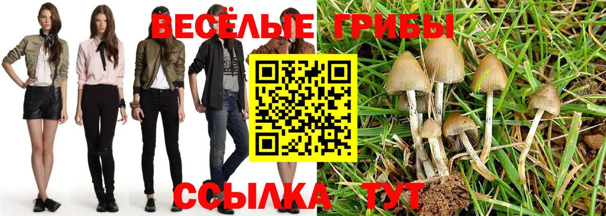 Псилоцибиновые грибы MAGIC MUSHROOMS Чапаевск