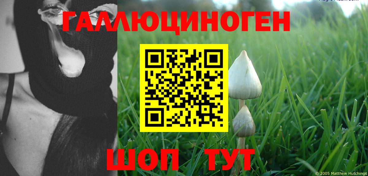 хочу   Псилоцибиновые грибы GOLDEN TEACHER  Вход с VPN  Чапаевск 